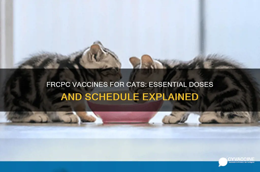 how many frcpc vaccines for cat