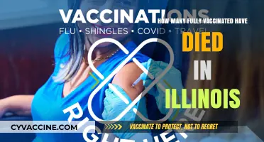 Illinois COVID-19 Vaccination Deaths: Analyzing Fully Vaccinated Fatalities
