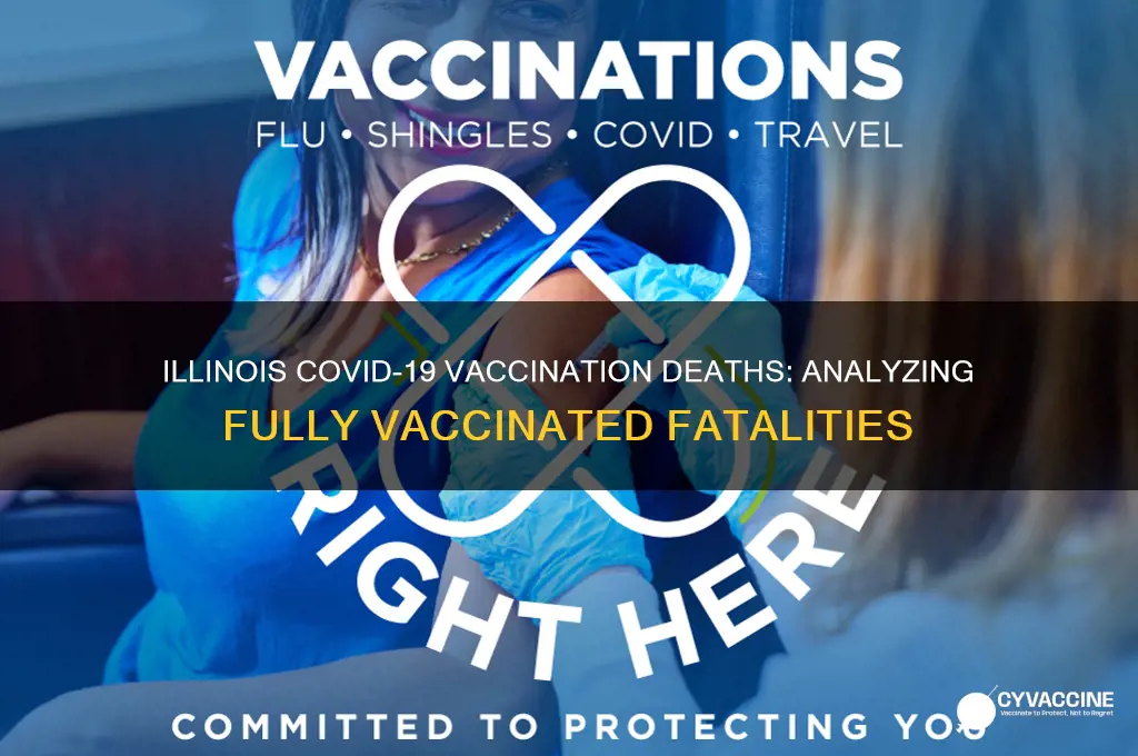 how many fully vaccinated have died in illinois