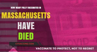 Massachusetts COVID-19 Vaccination: Analyzing Post-Vaccination Deaths Among Fully Vaccinated
