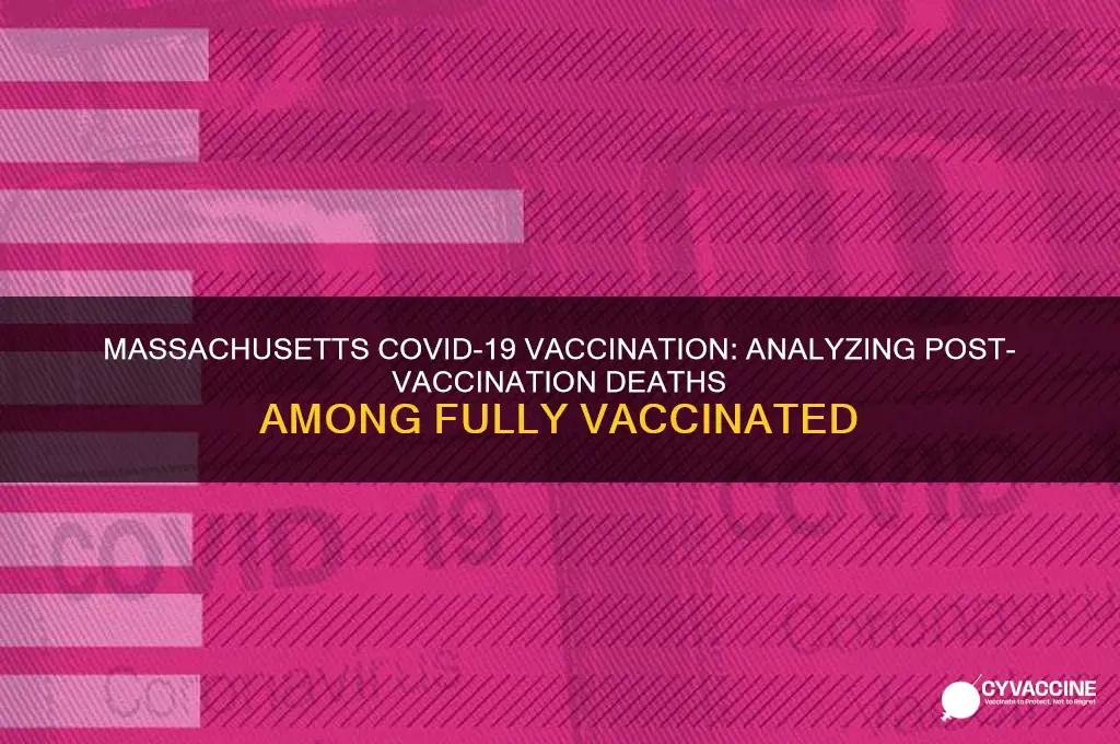 how many fully vaccinated in massachusetts have died