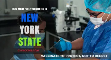 New York State's Vaccination Progress: Tracking Fully Vaccinated Residents