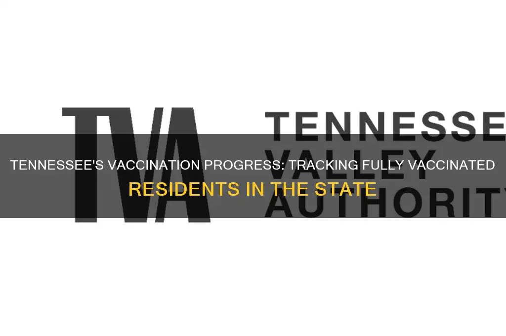 how many fully vaccinated in tn