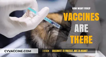 Understanding the Different Types of FVRCP Vaccines Available