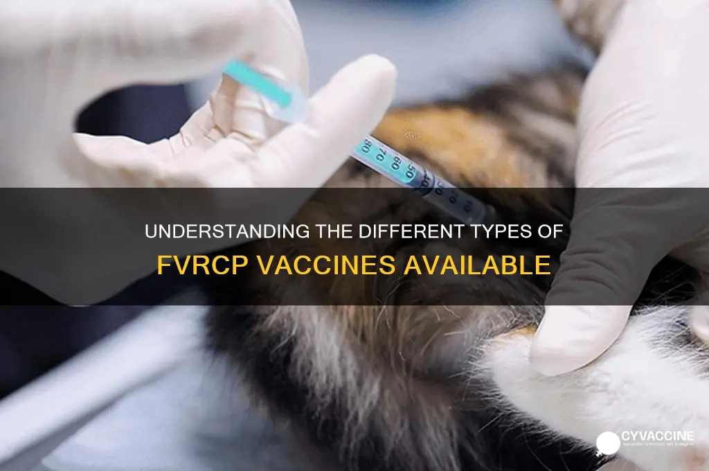 how many fvrcp vaccines are there