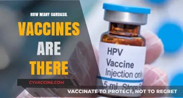 Understanding Gardasil: A Breakdown of Available HPV Vaccine Options