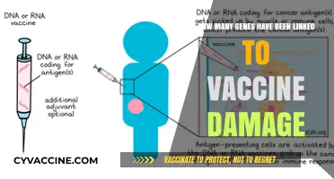 Exploring Genes Linked to Potential Vaccine-Related Adverse Effects