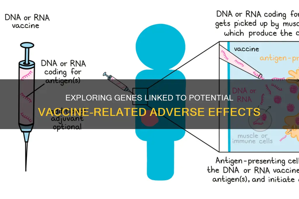 how many genes have been linked to vaccine damage