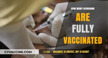 Georgia's Vaccination Progress: Tracking Fully Vaccinated Residents Today