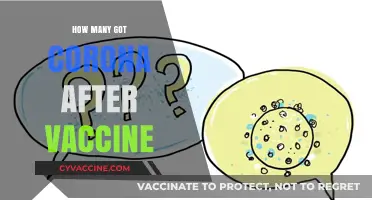 Post-Vaccination COVID-19 Cases: Understanding Breakthrough Infections and Risks