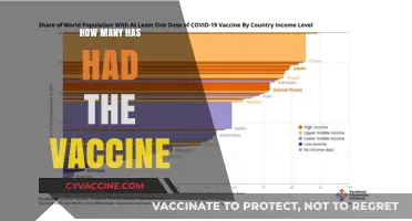 Global COVID-19 Vaccination Rates: Tracking Inoculation Progress Worldwide