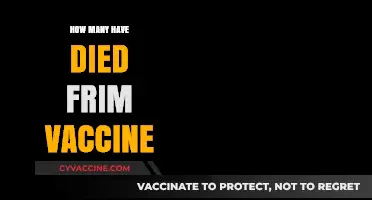 Vaccine-Related Deaths: Separating Facts from Misinformation and Myths