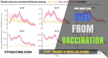 Vaccine-Related Deaths: Separating Facts from Misinformation and Myths