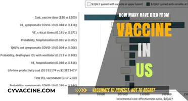 US Vaccine Deaths: Separating Facts from Misinformation and Fears