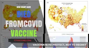 COVID-19 Vaccine Deaths: Separating Facts from Misinformation and Myths