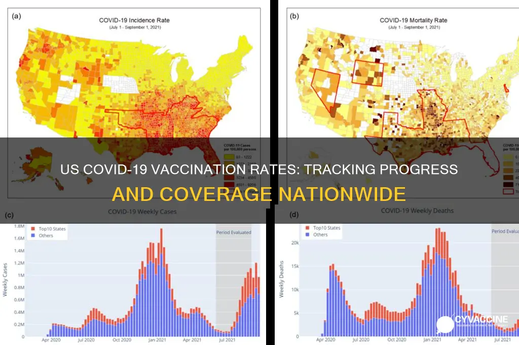 how many have vaccine in us