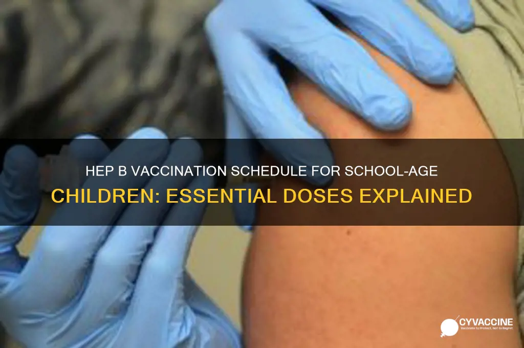 how many hep b vaccines should school age child receive