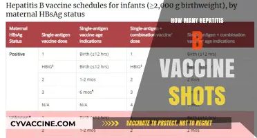 Hepatitis B Vaccine Schedule: Understanding the Required Shots for Protection