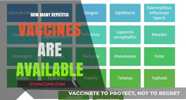 Exploring the Range of Available Hepatitis Vaccines for Prevention