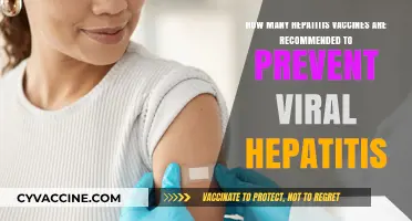 Recommended Hepatitis Vaccines: Preventing Viral Hepatitis Effectively