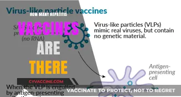 Understanding Hepatitis Vaccines: Types, Availability, and Protection Options