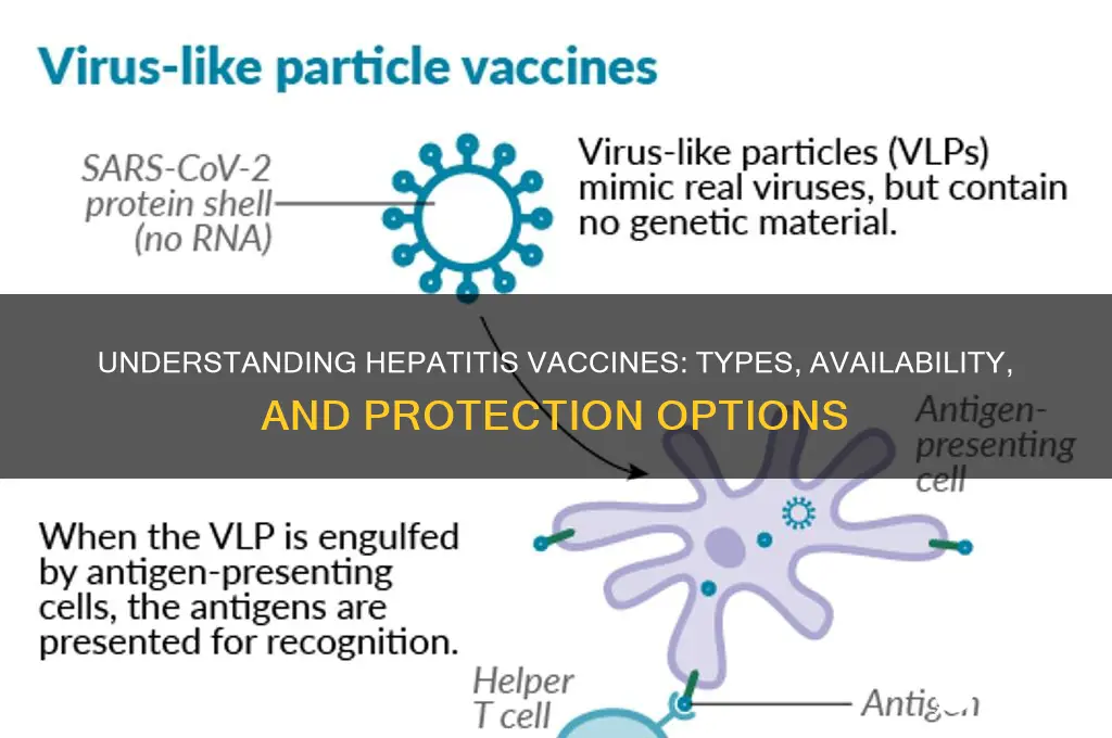 how many hepatitis vaccines are there