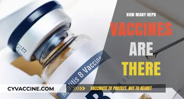 Exploring the Different Types of Hepatitis B Vaccines Available