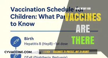 Understanding Hib Vaccines: Types, Availability, and Importance Explained