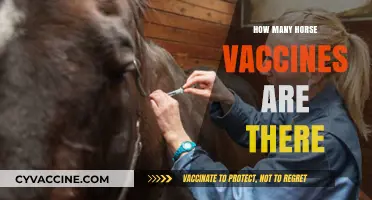 Essential Guide to Understanding the Variety of Horse Vaccines Available