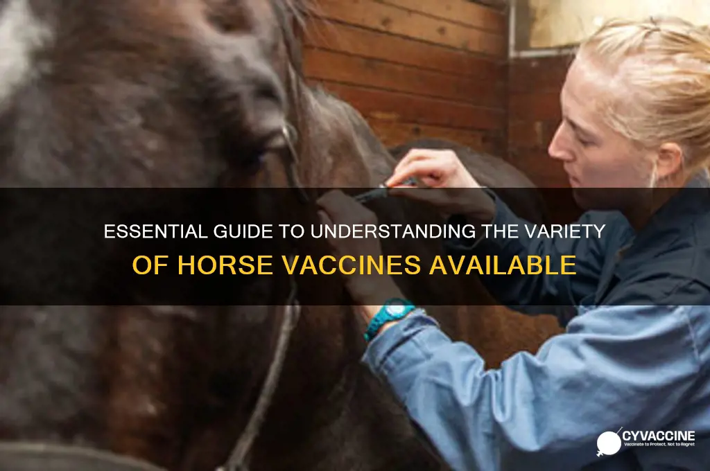 how many horse vaccines are there