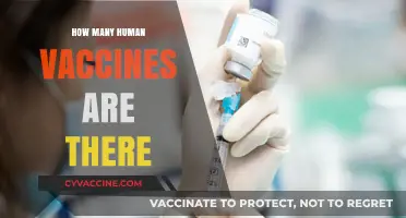 Exploring the Vast Array of Human Vaccines Available Today