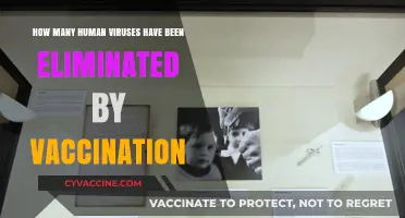 Vaccination Triumphs: Eradicating Human Viruses and Saving Lives Globally