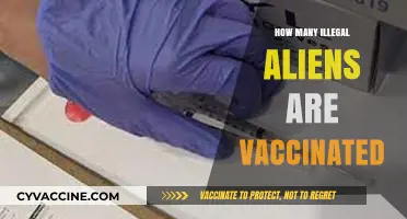 Illegal Aliens and Vaccination Rates: Uncovering the Unknown Statistics