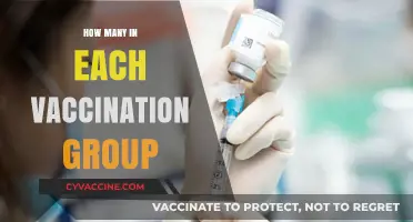 Vaccination Group Breakdown: Understanding Population Distribution by Dose Status