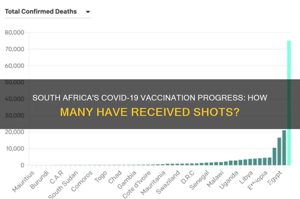 how many in south africa have been vaccinated