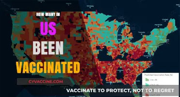 US Vaccination Progress: Tracking How Many Americans Have Been Vaccinated