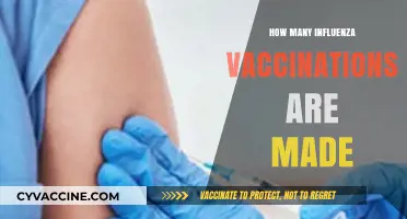 Understanding the Global Production of Influenza Vaccinations Annually