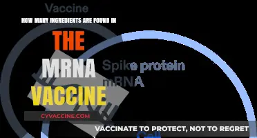Unveiling the Simple Composition of mRNA Vaccines: Ingredients Explained