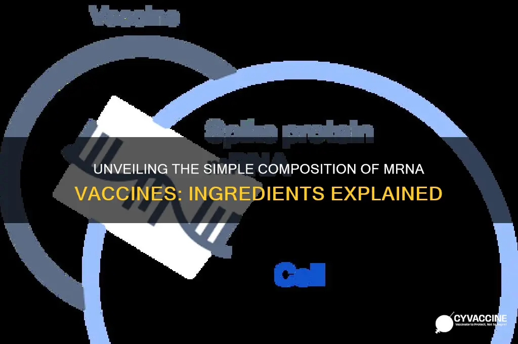 how many ingredients are found in the mrna vaccine