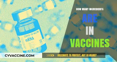 Unveiling Vaccine Composition: Exploring the Ingredients in Modern Vaccines