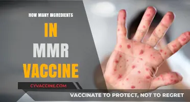 Unveiling the MMR Vaccine: A Breakdown of Its Essential Ingredients