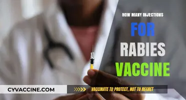 Understanding the Number of Rabies Vaccine Injections Required for Protection