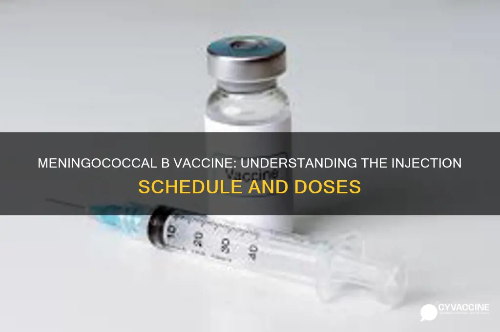 how many injections is the meningococcal b vaccine