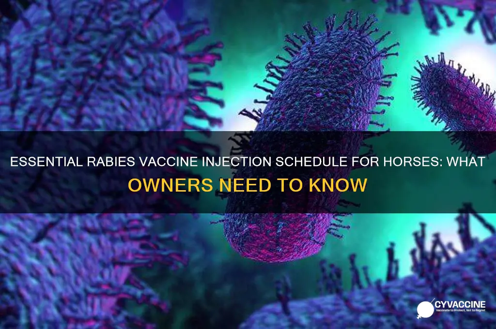 how many injections is the rabies vaccine for horses