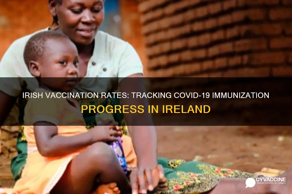 how many irish have been vaccinated