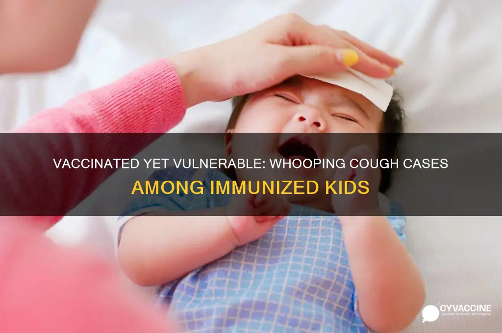how many kids diagnosed with whooping cough had vaccine