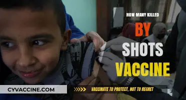 Vaccine-Related Deaths: Separating Facts from Misinformation and Fears