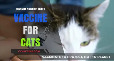 Understanding Different Types of Rabies Vaccines Available for Cats