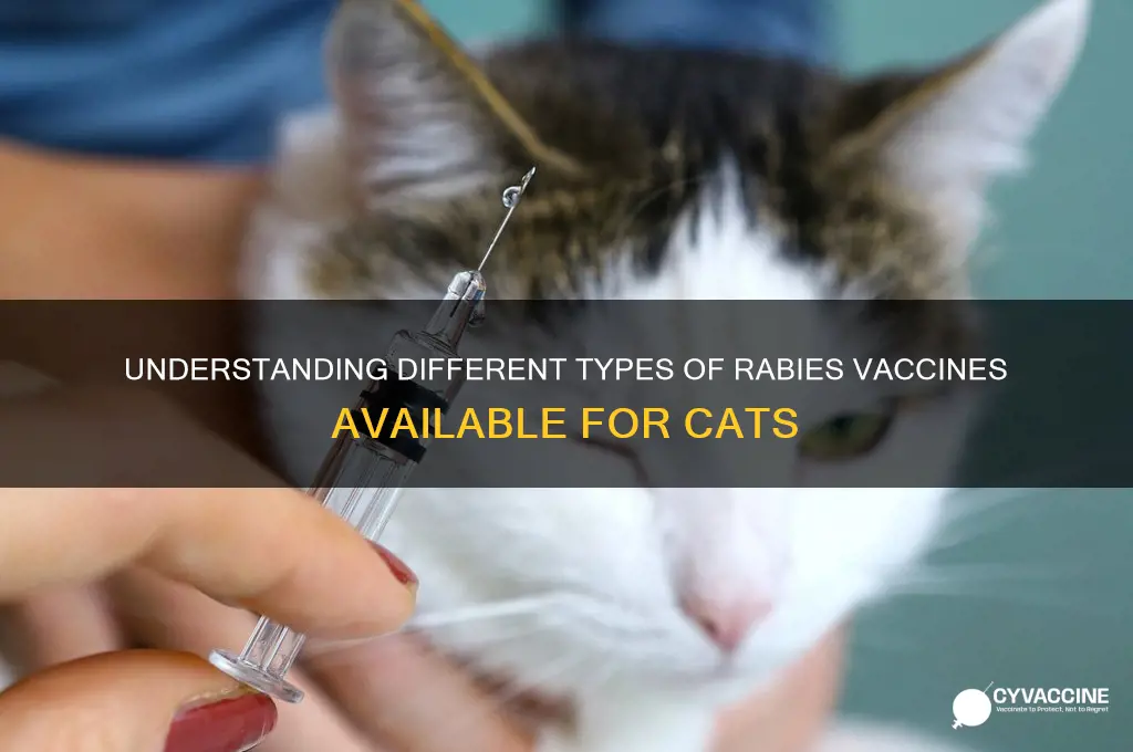 how many kind of rabies vaccine for cats