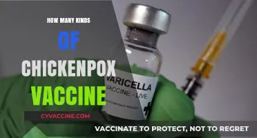Understanding the Different Types of Chickenpox Vaccines Available